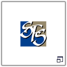 Skinner Financial Services logo